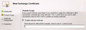 Exchange 2010 FAQ: Are Wildcard SSL Certificates Supported?