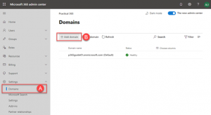 Configure a Custom Domain in Office 365 | Practical365