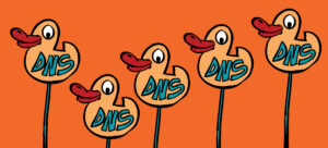 Getting Your DNS Ducks in a Row