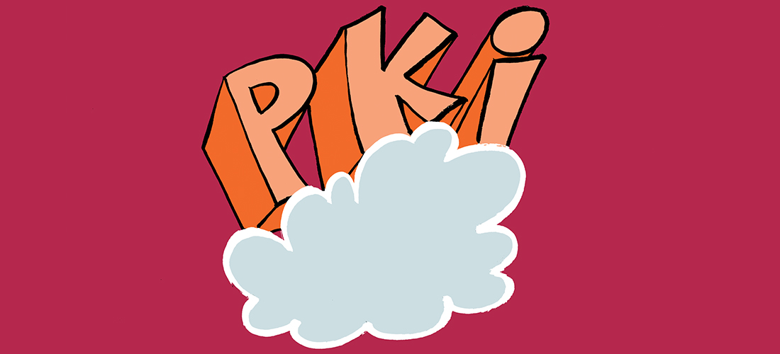 Practical Protection: Microsoft Introduces “Cloud PKI”